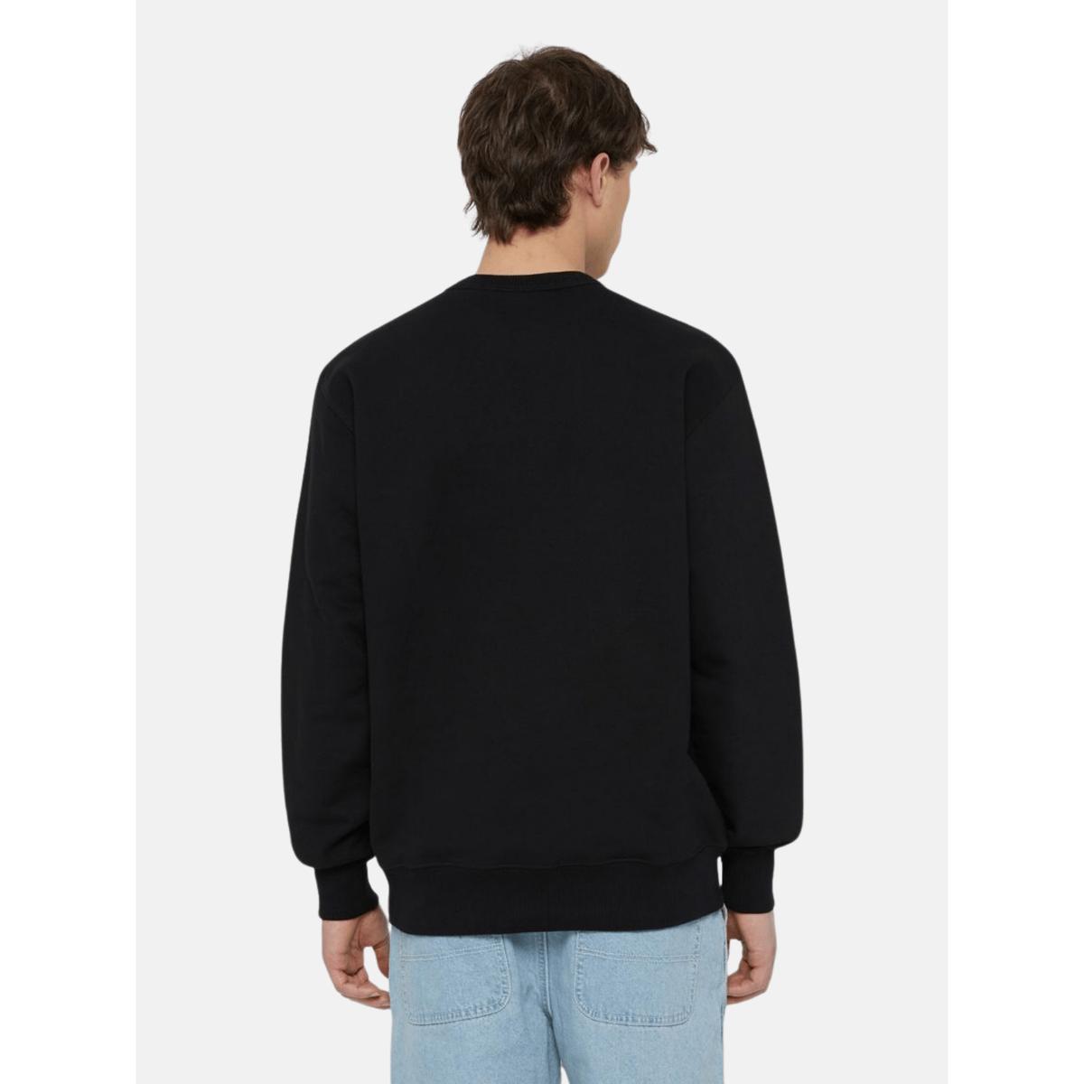 product/d/i/dickies_dk0a4ybgj391_2.jpg