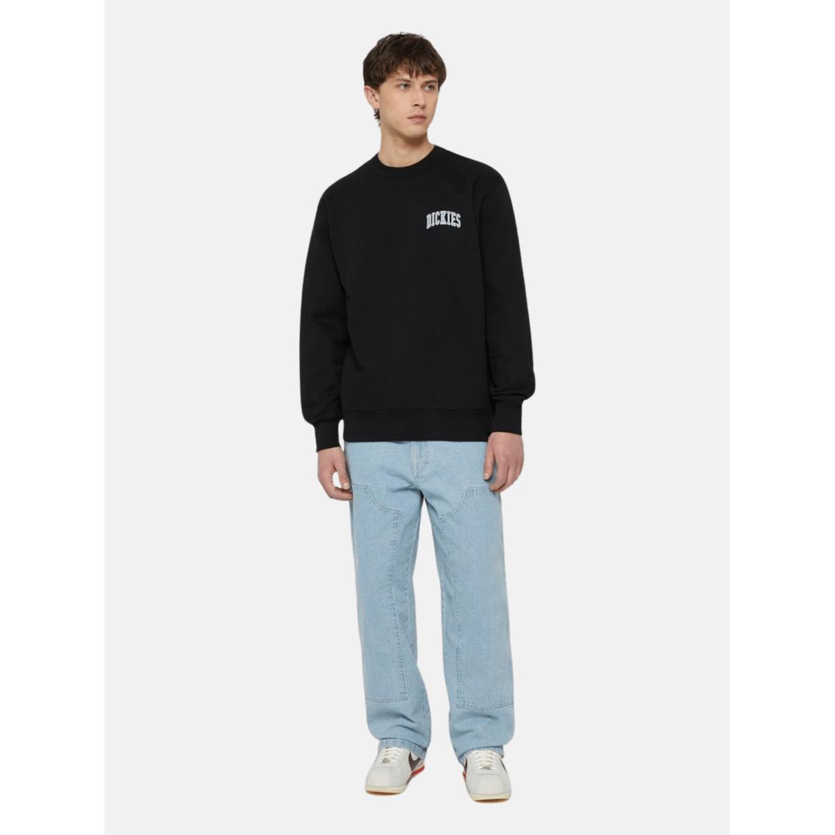 product/d/i/dickies_dk0a4ybgj391_3.jpg