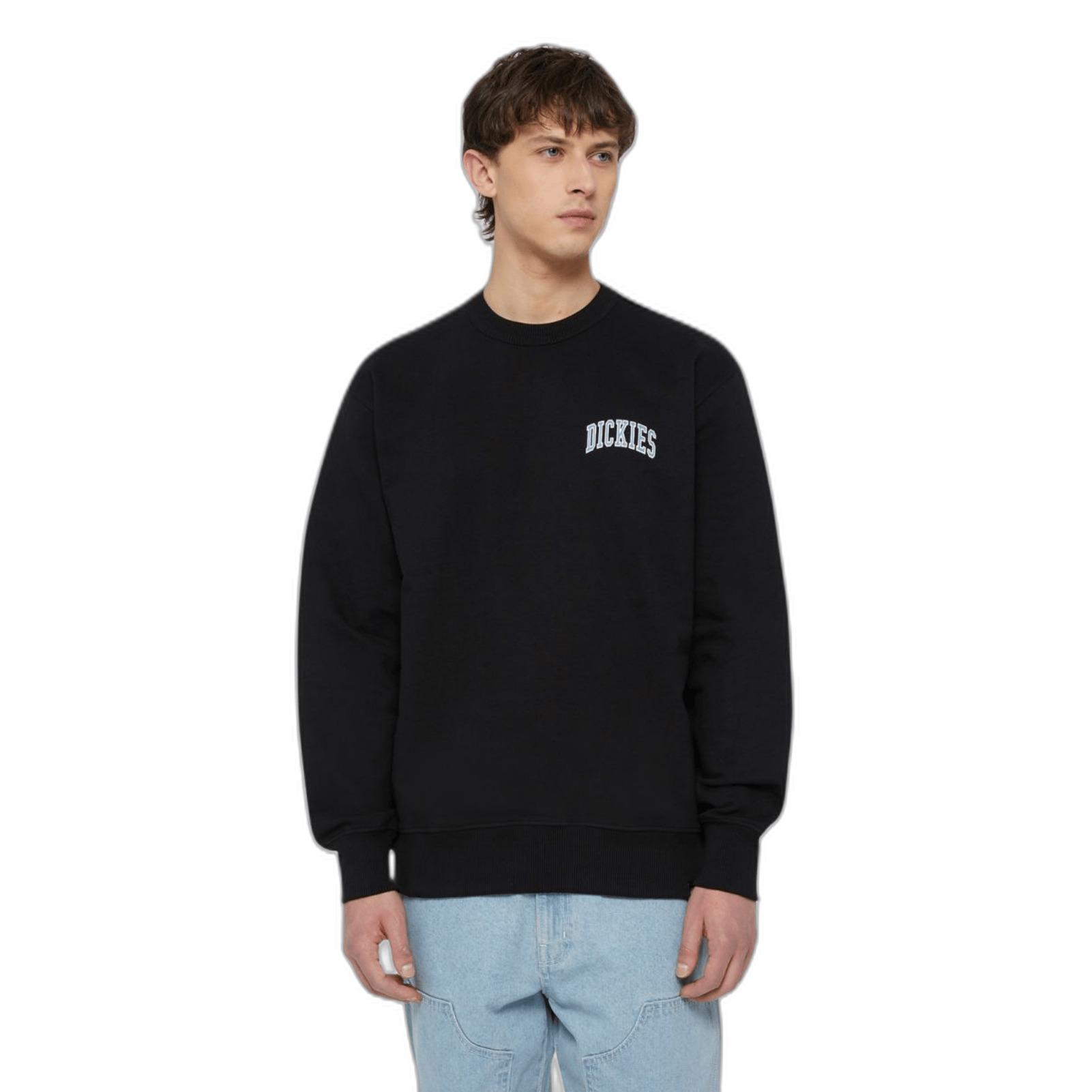 product/d/i/dickies_dk0a4ybgj391_1.jpg