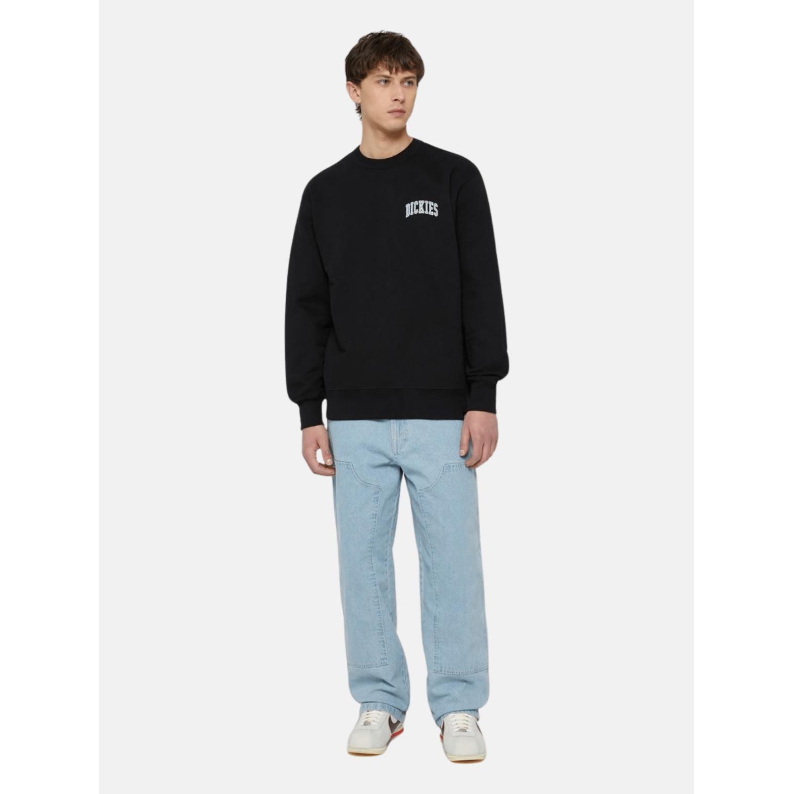 product/d/i/dickies_dk0a4ybgj391_3.jpg