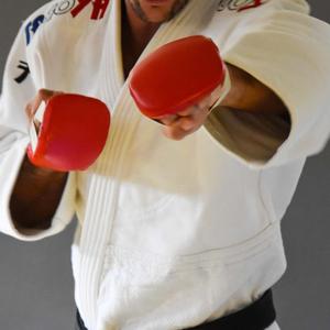Jiu-Jitsu Handschoenen