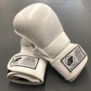 Jiu-Jitsu handschoenen