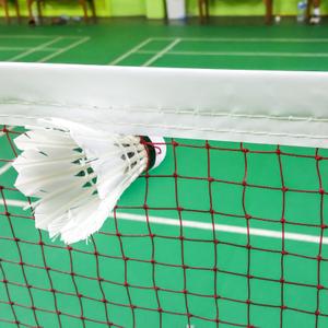 Netten