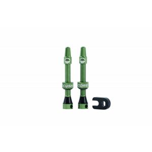 10007-10004c-paar-binnenbandloze-ventielen-cushcore-groene