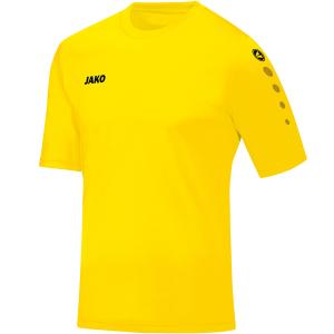 4233-u-03-jersey-jako-team-citroengeel