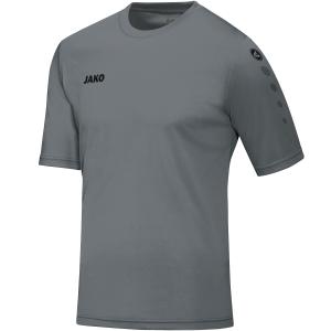 4233-u-40-jersey-jako-team-grijs