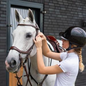 p700-br-hoofdstellen-presteq-faysport-marrron