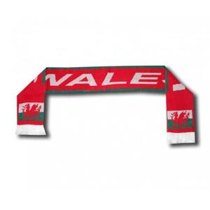 ech-nat-pga-supporterssjaal-wales-wit-groen-rood-tu
