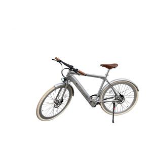 vae-a-sil-elektrische-fiets-met-spatbord-alerion-zilver