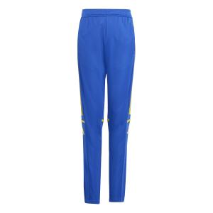jp3154-trainingsbroek-voor-kinderen-adidas-squadra25-royblu-tmyell