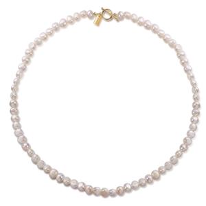 50361578-damesketting-ailoria-sorano-goud-tu