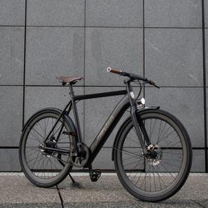 vae-a-mb-elektrische-fiets-zonder-spatbord-alerion-matzwart