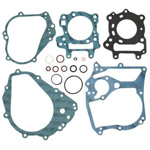 25034-maxiscooter-motor-pakking-artein-aprilia-125-leonardo-1996-2004-blauw-tu