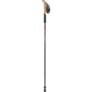 at101-00-swix-sonic-pro-tail-carbon-sticks-zwart