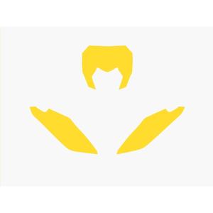 1095866001-motorplaatfondsvloer-blackbird-racing-fantic-xx-geel-tu
