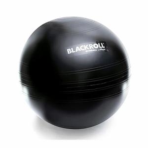 spor-a000095-sportschool-ball-blackroll-65-zwart-65-cm