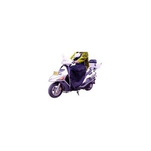 1789-universeel-scooterschort-brazoline-paars-tu