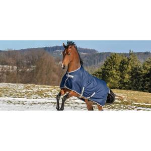 59625-62-buiten-deken-voor-paard-waterdicht-met-hoge-nek-bucas-freedom-turnout-150g-marine-zilver