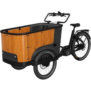 cb-u24001-elektrische-fiets-cangoo-buckle-up-zwart-hout-tu