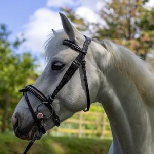 111117-marron-light-gold-hoofdstellen-voor-paarden-canter-mylord-bruin-lichtgoud