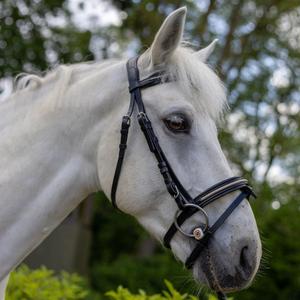 111117-noir-light-gold-hoofdstellen-voor-paarden-canter-mylord-zwart-lichtgoud