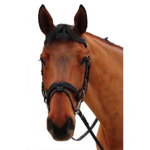 111117-noir-noir-hoofdstellen-voor-paarden-canter-mylord-zwart-zwart