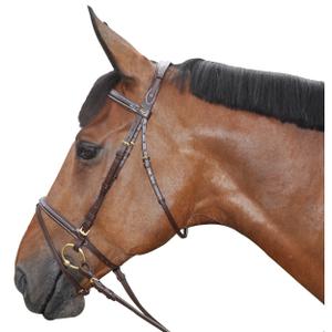 111123-marron-gecombineerd-hoofdstel-canter-bruine
