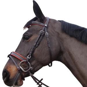 111130-marron-hoofdstellen-canter-alme-bruine