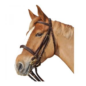 111505-marron-hoofdstellen-canter-euro-bruine
