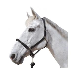 119520-noir-argent-halster-voor-paarden-canter-zwart-zilver