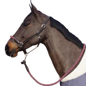 119522-marron-vieux-rose-touwhalster-met-witte-gespen-canter-bruin-oudroze