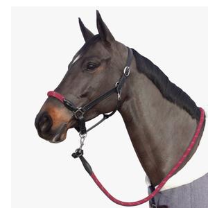 119522-noir-bordeaux-halster-met-witte-gespen-voor-paarden-canter-zwart-burgundy