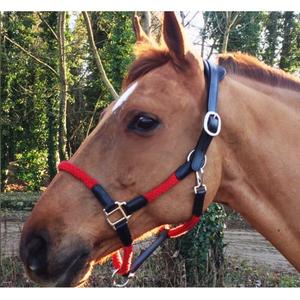 cal03br-paarden-halster-cavaletti-tara-zwart-rood-volledig