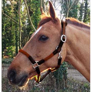 cal03oo-lederen-halster-en-touw-voor-paarden-cavaletti-tara-eik-volledig