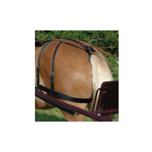 011039-noir-kiepriem-voor-paarden-chetak-zwart-volledig