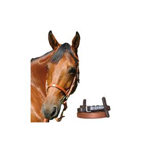 111108-newmarket-kaakloze-aandrijfflens-chetak-newmarket-cob