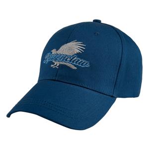 hpe61283-baseball-cap-cinereplicas-harry-potter-blauw-tu