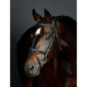 1025191001-gewatteerde-hanoverse-zadelsportteugel-collegiate-comfitec-opulux-fancy-stitch-zwart