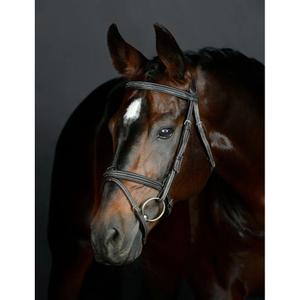 1025191005-gewatteerde-hanoverse-zadelsportteugel-collegiate-comfitec-opulux-fancy-stitch-donkerbruin