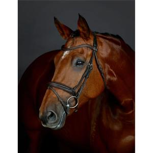 1025193005-flash-hanoveraanse-dressuurteugel-met-padding-collegiate-comfitec-opulux-donkerbruin