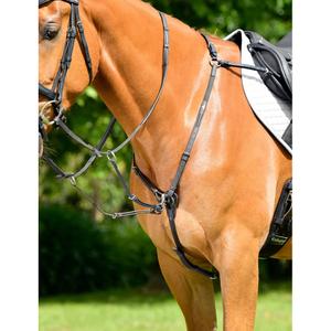 1025462001-3-punts-gewatteerde-plastron-collegiate-comfitec-opulux-zwart