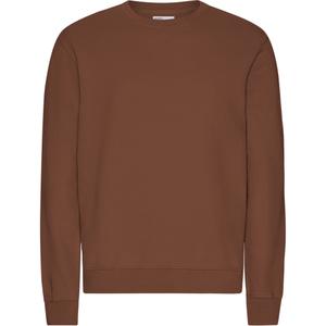 cs1005-cinnamonbrown-trui-colorful-standard-classic-organic-cinnamon-brown-kaneelbruin