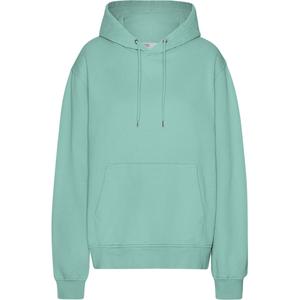 cs1006-seafoamgreen-hoodie-colorful-standard-classic-organic-seafoam-green-zeegroen