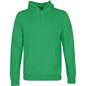 cs1006-kellygreen-hooded-sweatshirt-colorful-standard-classic-organic-kelly-green-driekleurig-groen