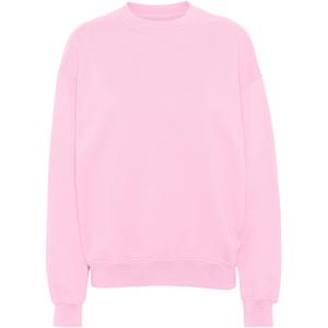 cs1012-flamingopink-sweatshirt-ronde-hals-colorful-standard-organic-oversized-flamingo-roze