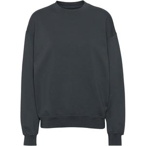 cs1012-lavagrey-sweatshirt-ronde-hals-colorful-standard-organic-oversized-lavagrijs