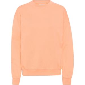 cs1012-paradisepeach-sweatshirt-ronde-hals-colorful-standard-organic-oversized-paradijselijke-perzik