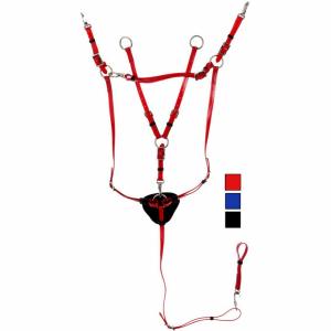 1170199-06-jachthalsband-voor-paarden-en-martingaal-daslo-pvc-rood-volledig