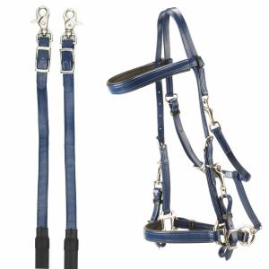 1401425-14-paardenhoofdstellen-voor-endurance-in-pvc-daslo-nationaal-blauw