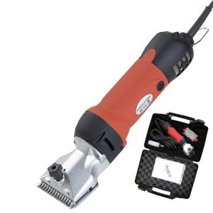 5407399-99999-tondeuse-groot-model-paard-daslo-zwart-oranje-tu